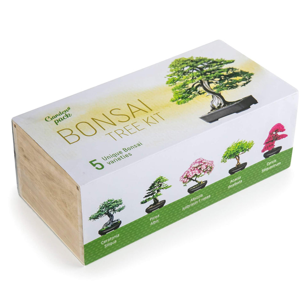 Bonsai Tree kit con semi e accessori per la coltivazione