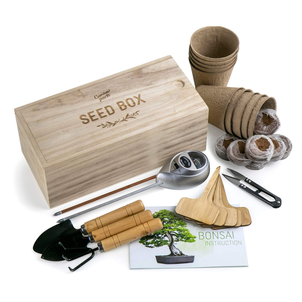 Bonsai Tree kit con semi e accessori per la coltivazione