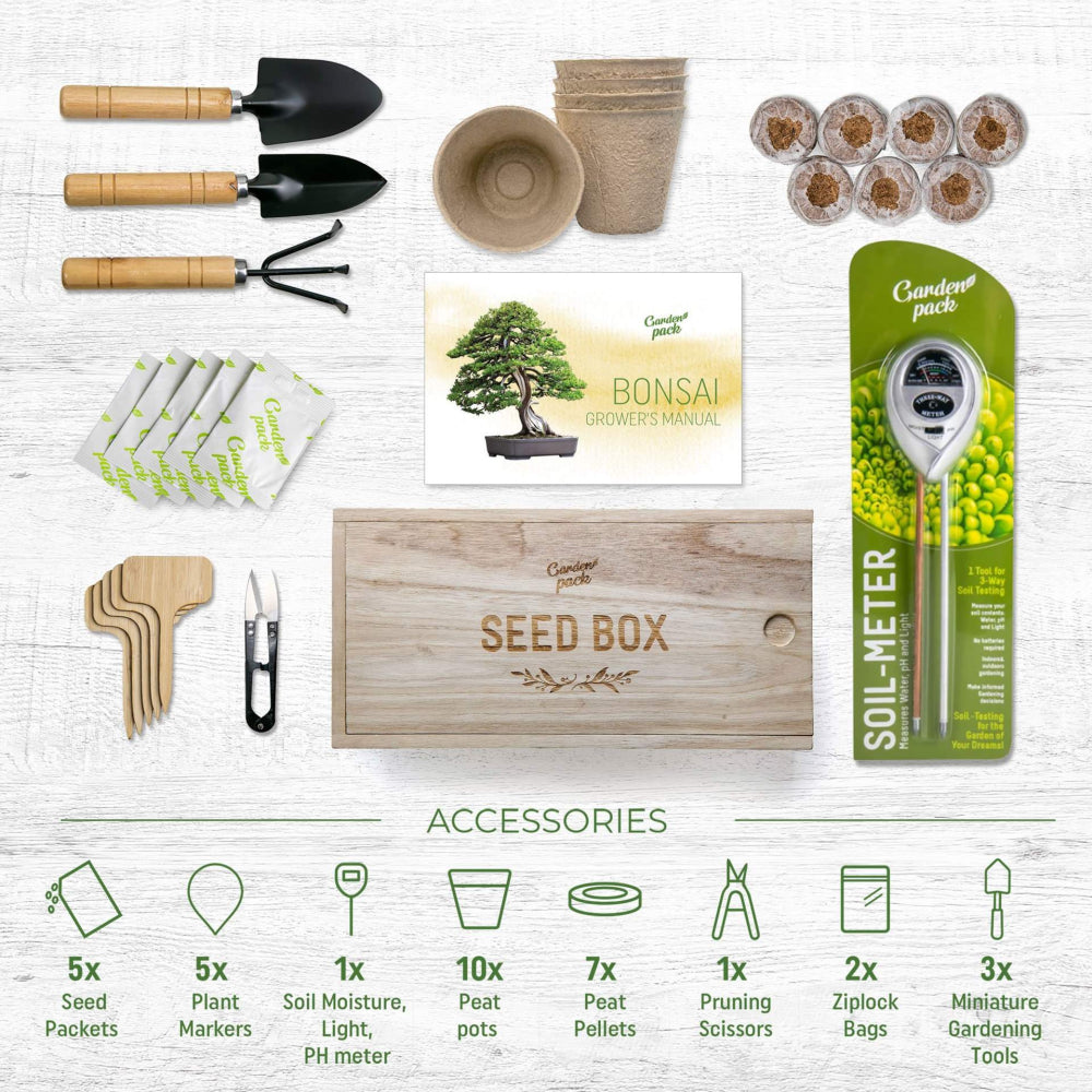 Bonsai Tree kit con semi e accessori per la coltivazione