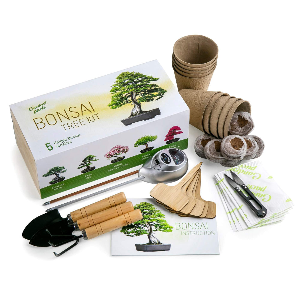 Bonsai Tree kit con semi e accessori per la coltivazione