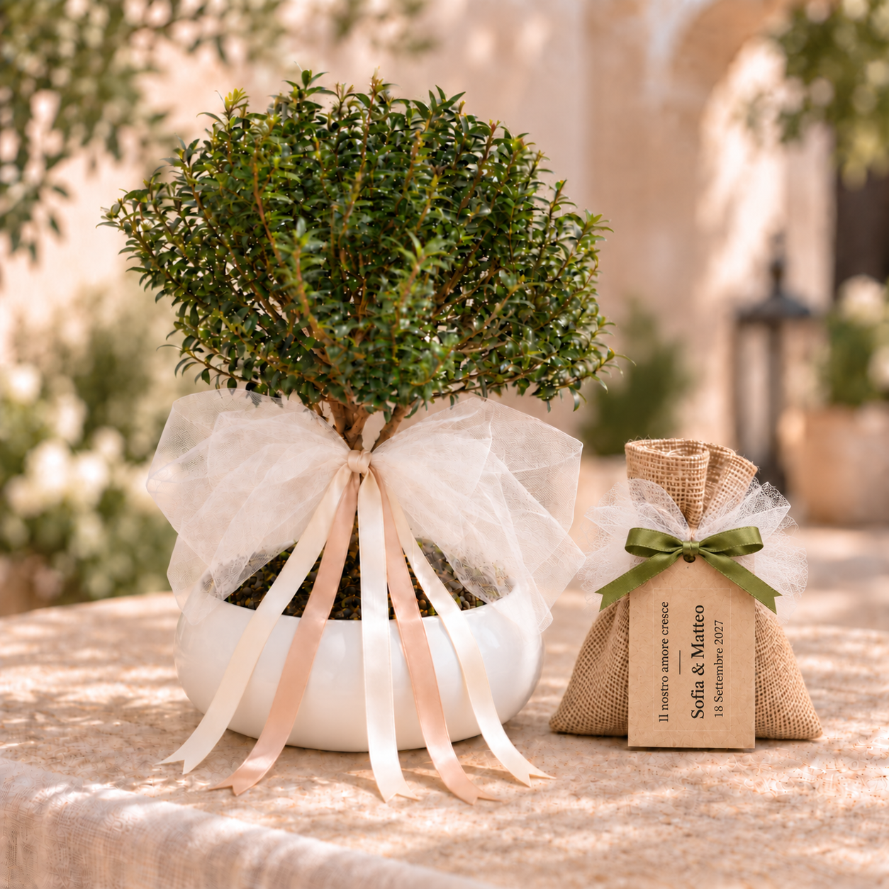 Bomboniera Bonsai di Mirto – Un ricordo che cresce nel tempo