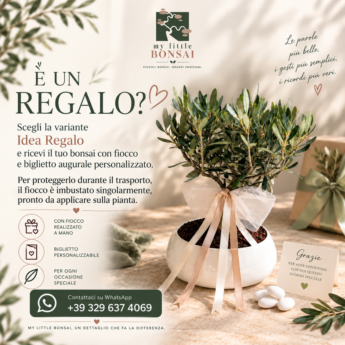 Bonsai di Olivo vaso in ceramica | Idea Regalo Personalizzata