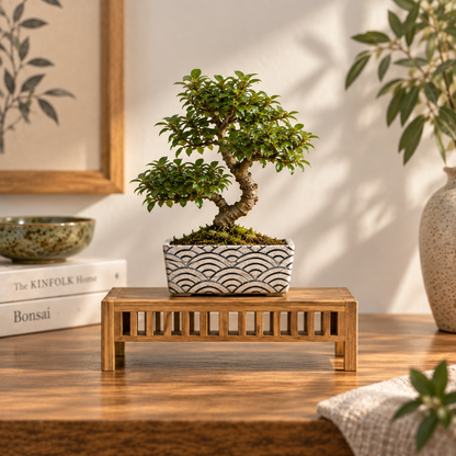 Tavolino Espositore in Legno per Bonsai – 25 × 17 cm