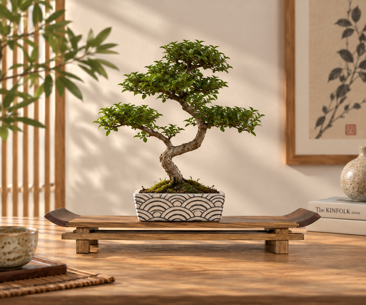 Tavolino Espositore in Legno per Bonsai – 32 × 21 cm