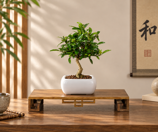 Tavolino Espositore in Legno per Bonsai – Stile Orientale 32 × 21 cm