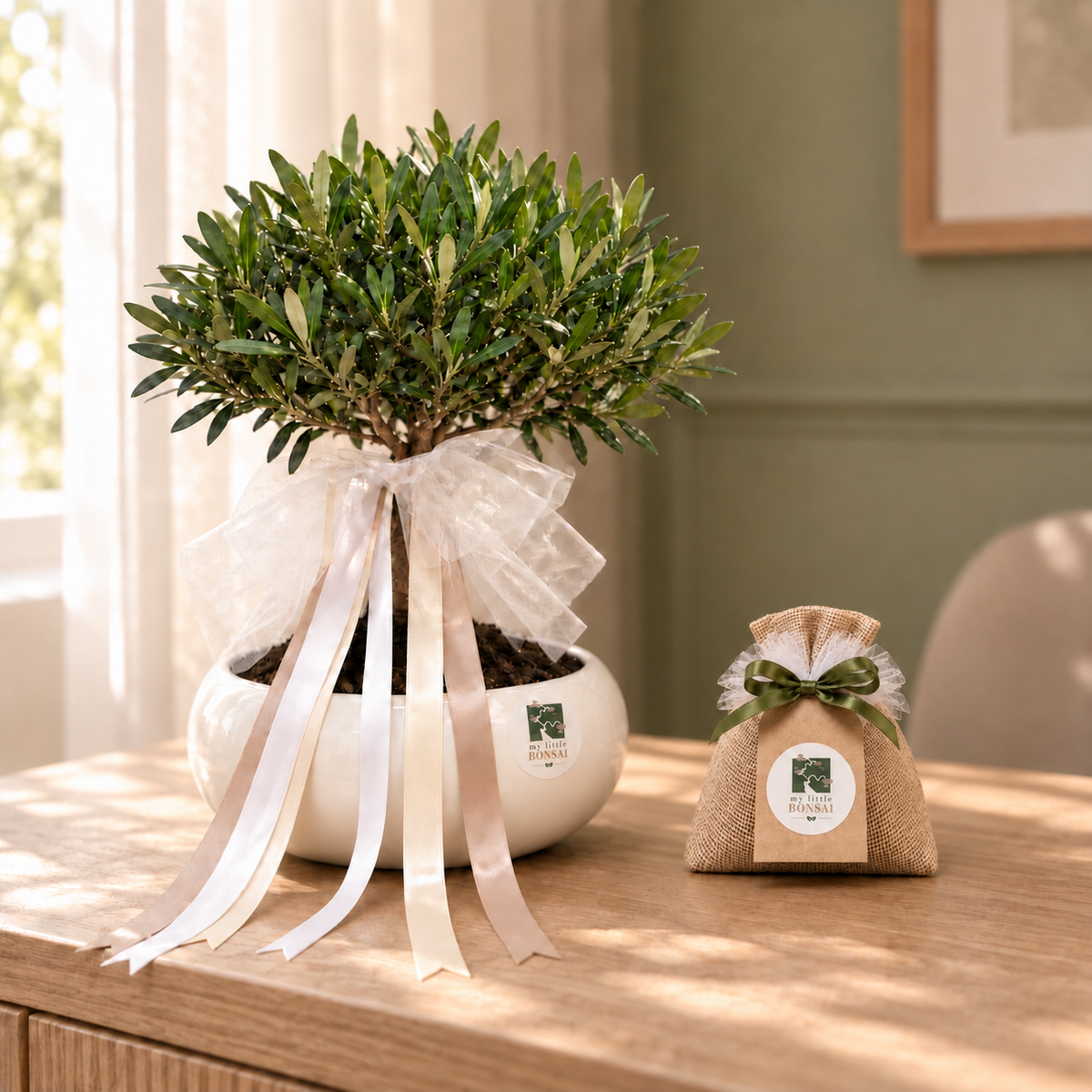 Bomboniera Bonsai di Olivo – Un ricordo che cresce nel tempo